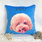 cushion cover