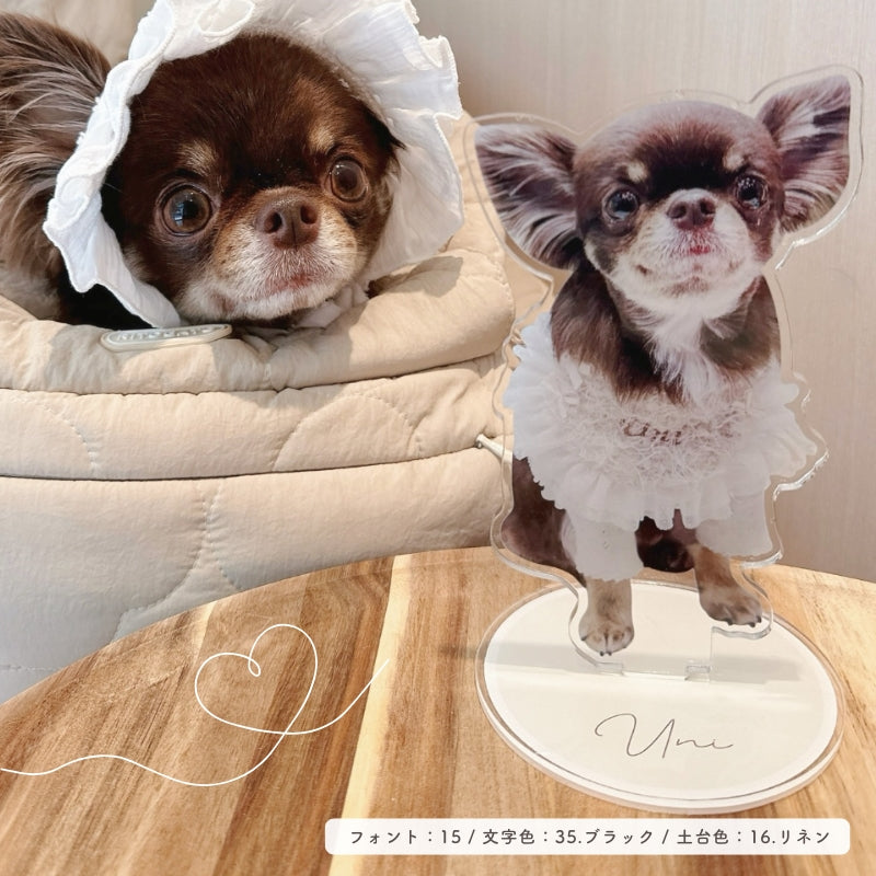 acrylic stand