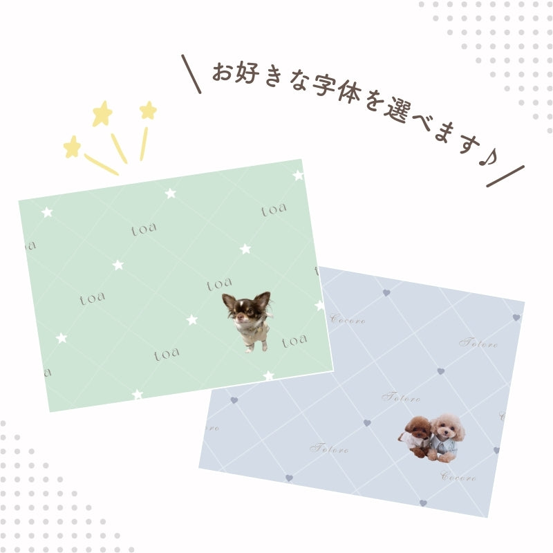 Quilted design blanket