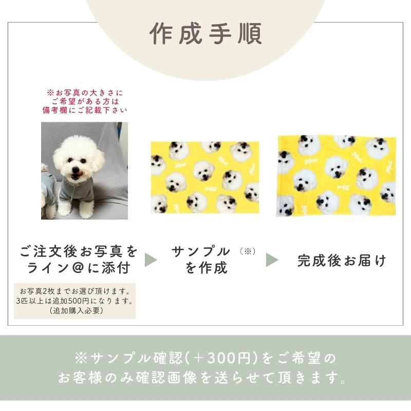 ランダム ブランケット