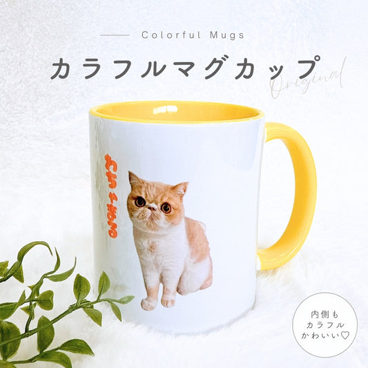 カラフル マグカップ