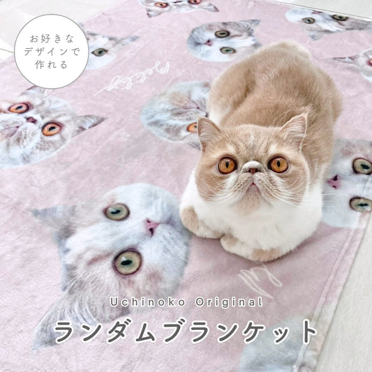 ランダム ブランケット