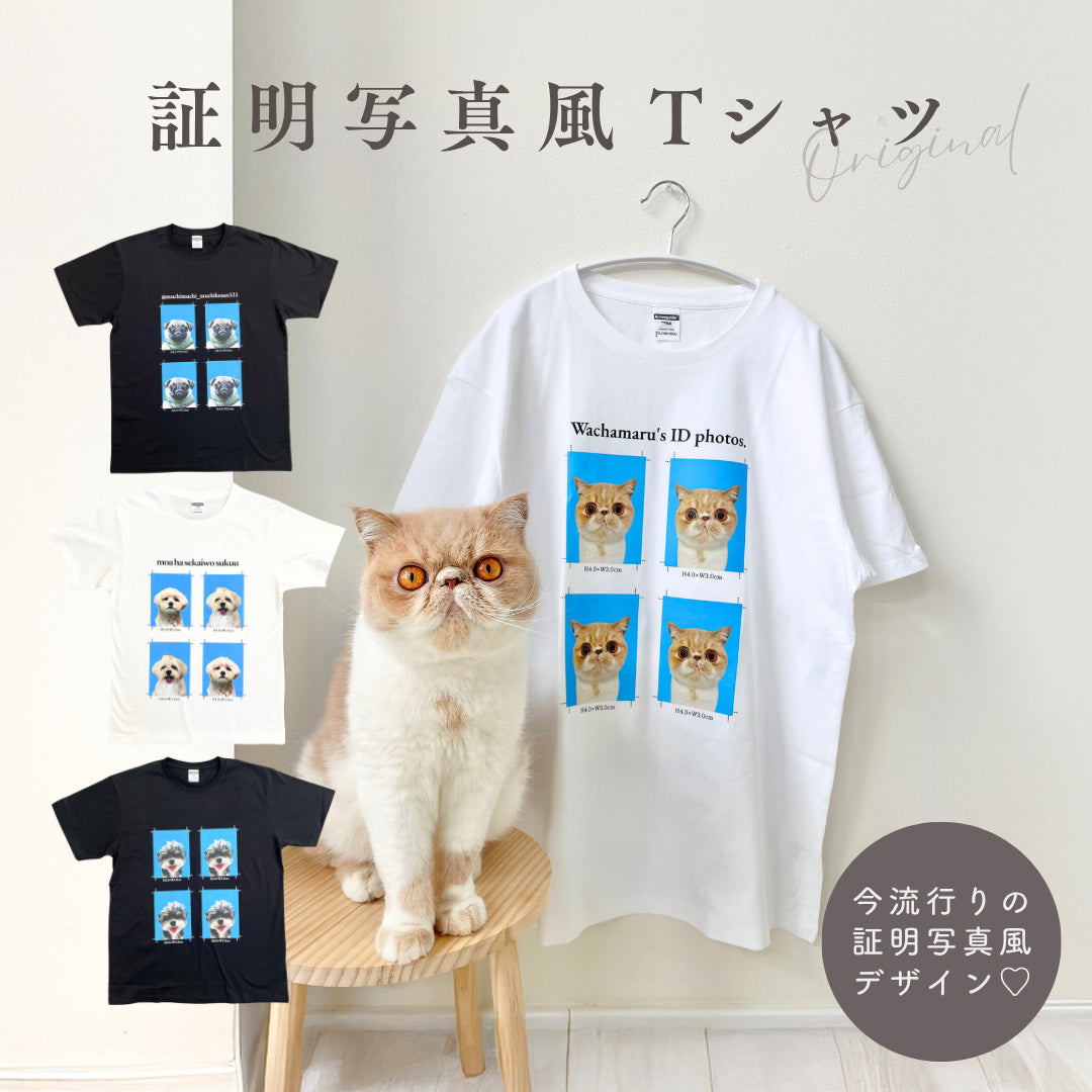 証明写真風Tシャツ