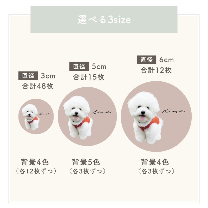 [In Stock] Circular Sticker