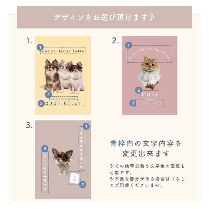 [In Stock] A4 Photo Plate