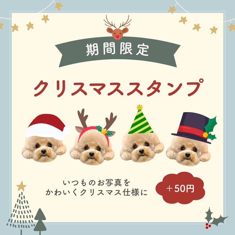 クリスマス限定スタンプ