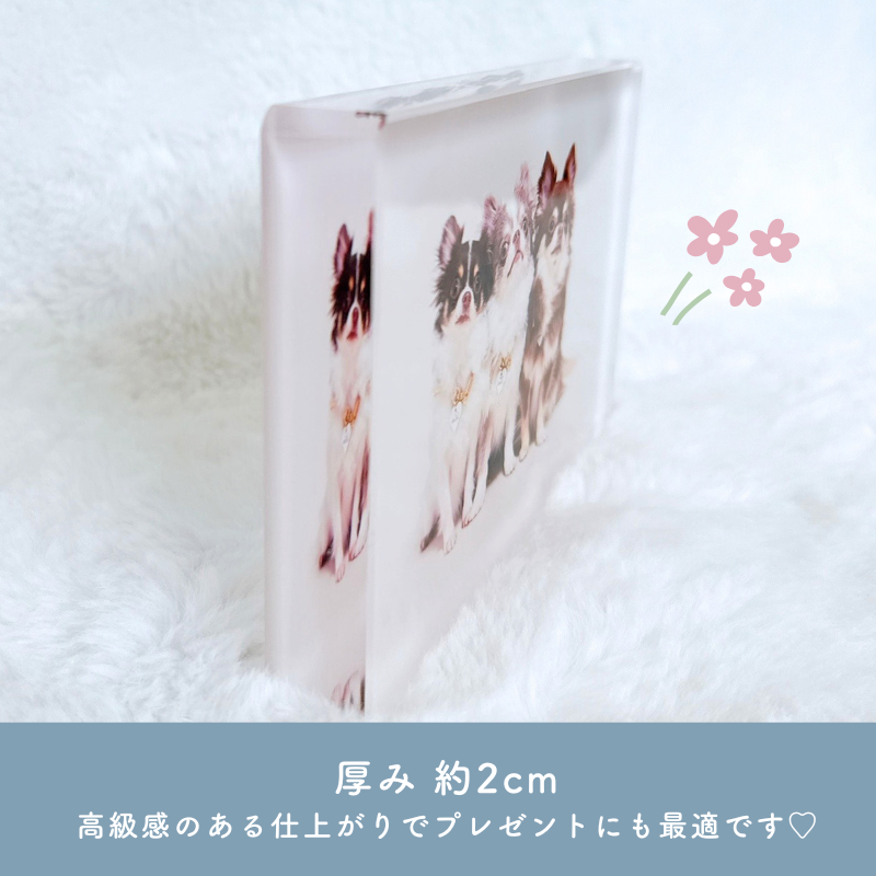 Acrylic photo frame for kids
