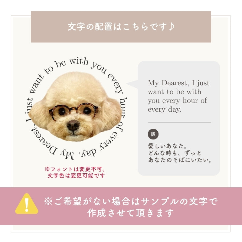 レタリング バネロポーチ