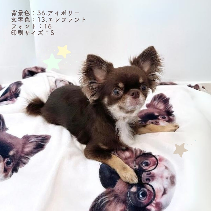 ランダム ブランケット