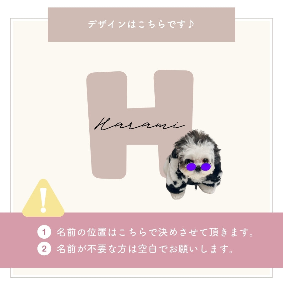 イニシャル トレーナー