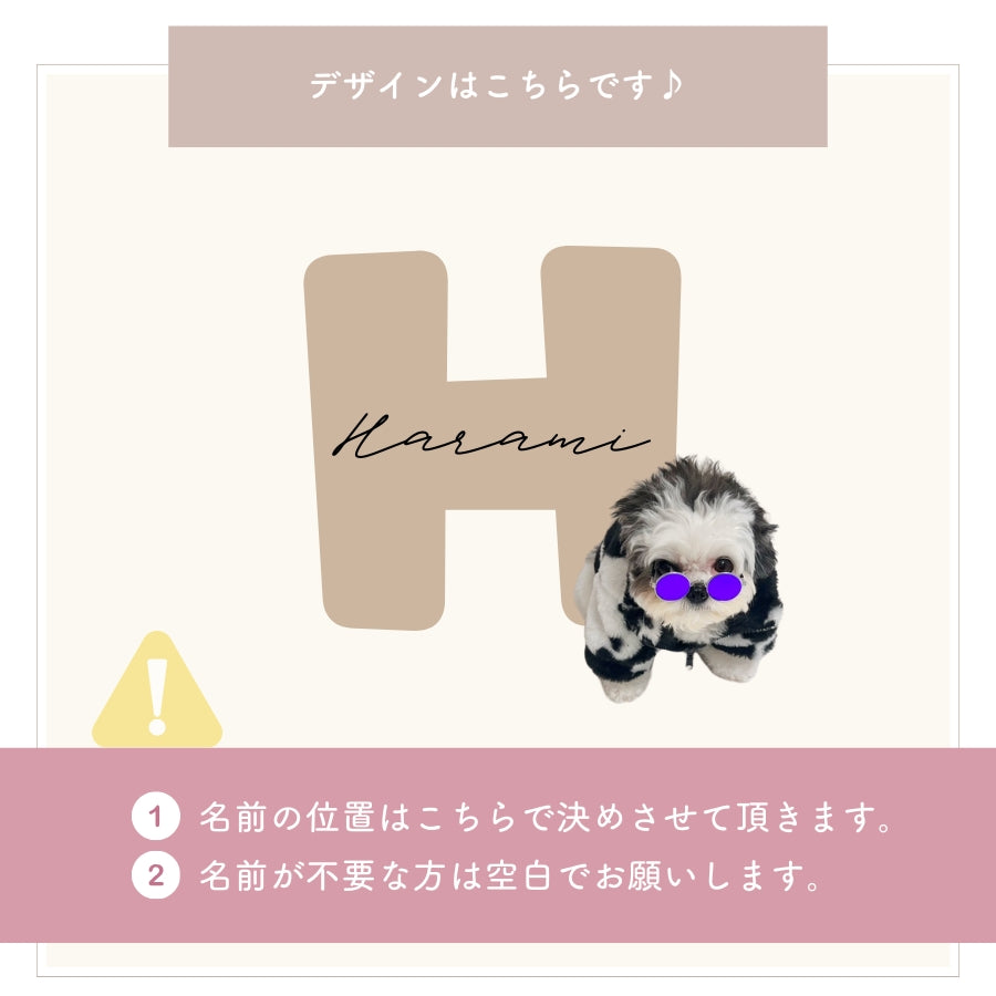 イニシャル Tシャツ