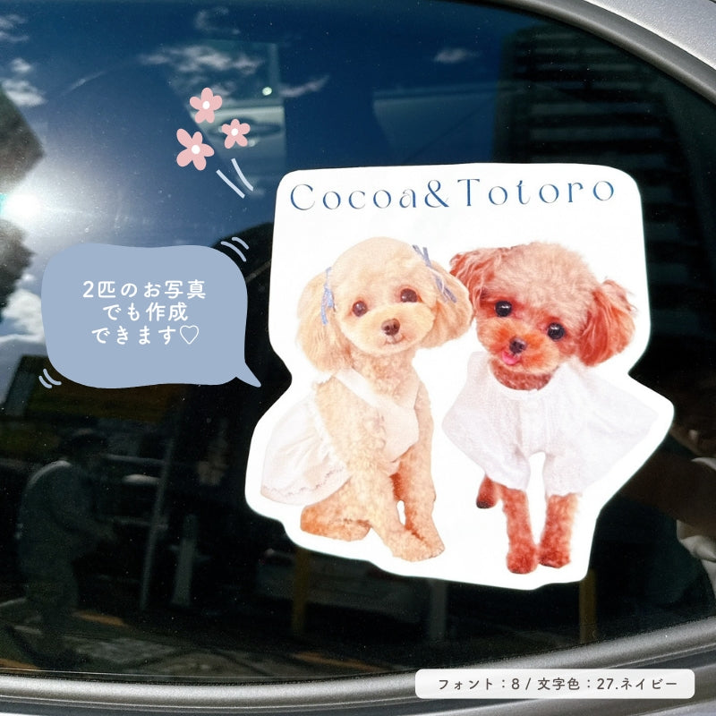 [In Stock] A4 Size Waterproof Sticker