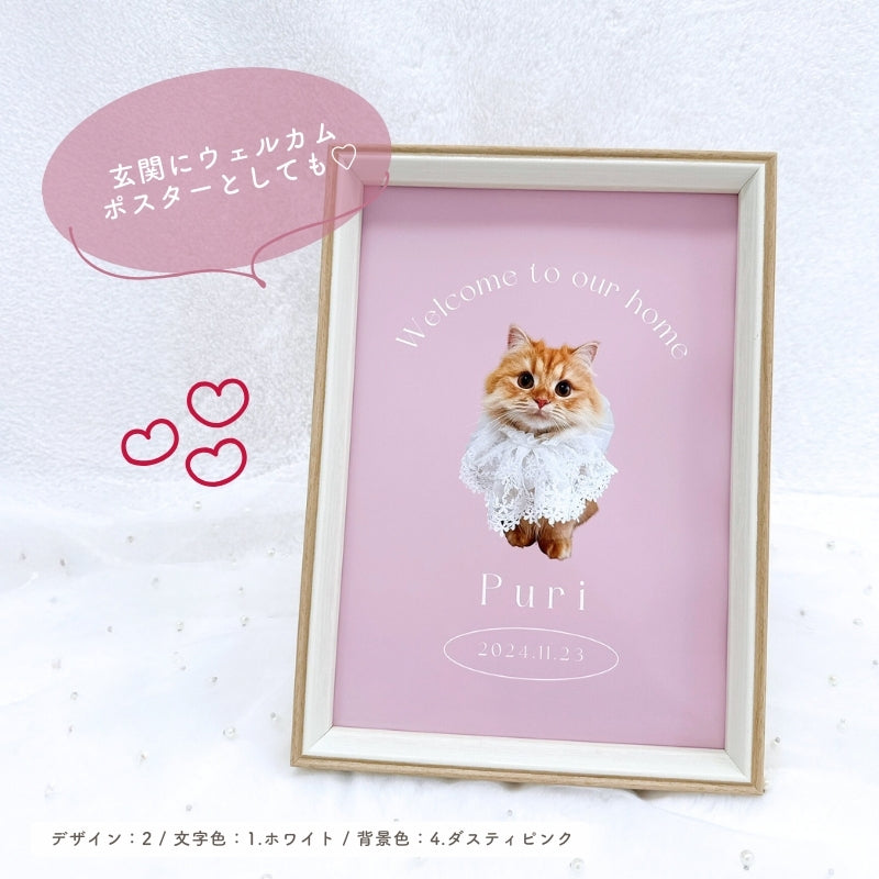 [In Stock] A4 Photo Plate