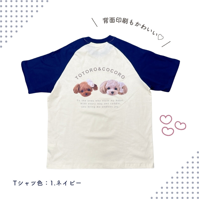 オリジナル ラグランTシャツ