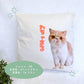 cushion cover