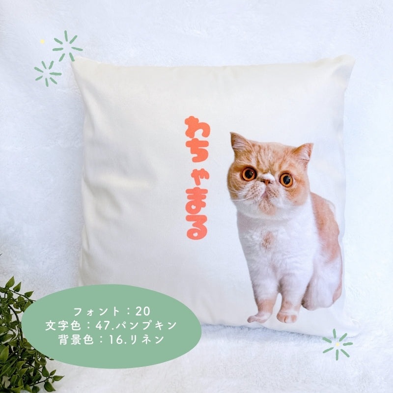 cushion cover