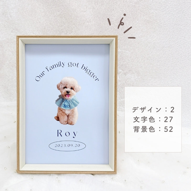 [In Stock] A4 Photo Plate