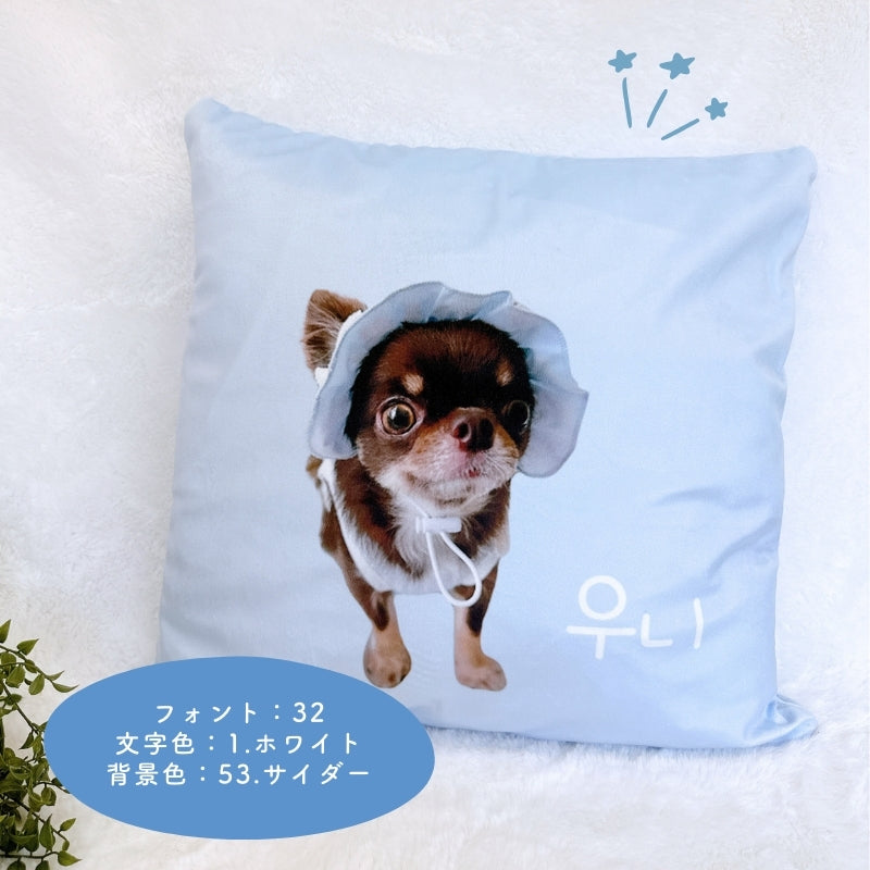 cushion cover