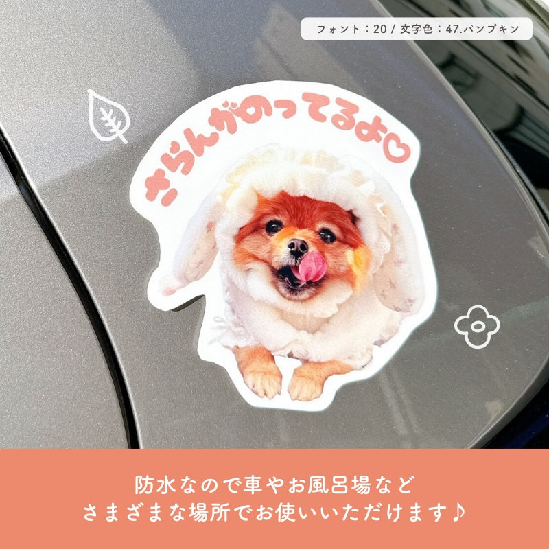 [In Stock] A4 Size Waterproof Sticker