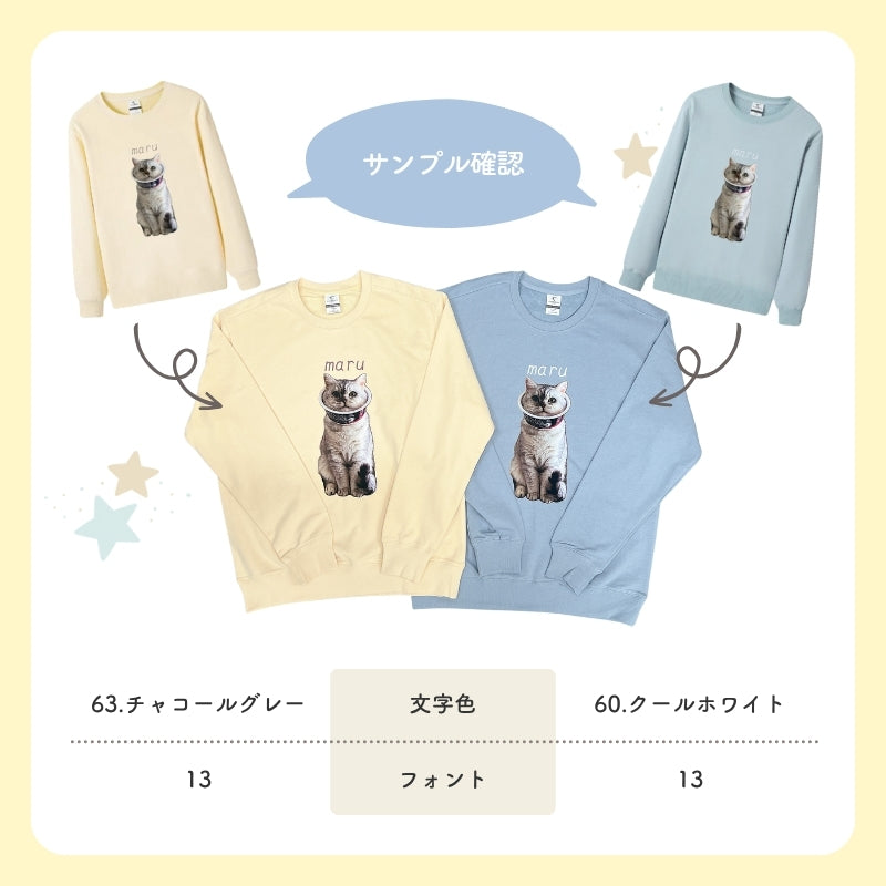 techikomikanさま オーダー品 ALTERNA トレーナー オリジナルトレーナー – RonRon. onlineshop