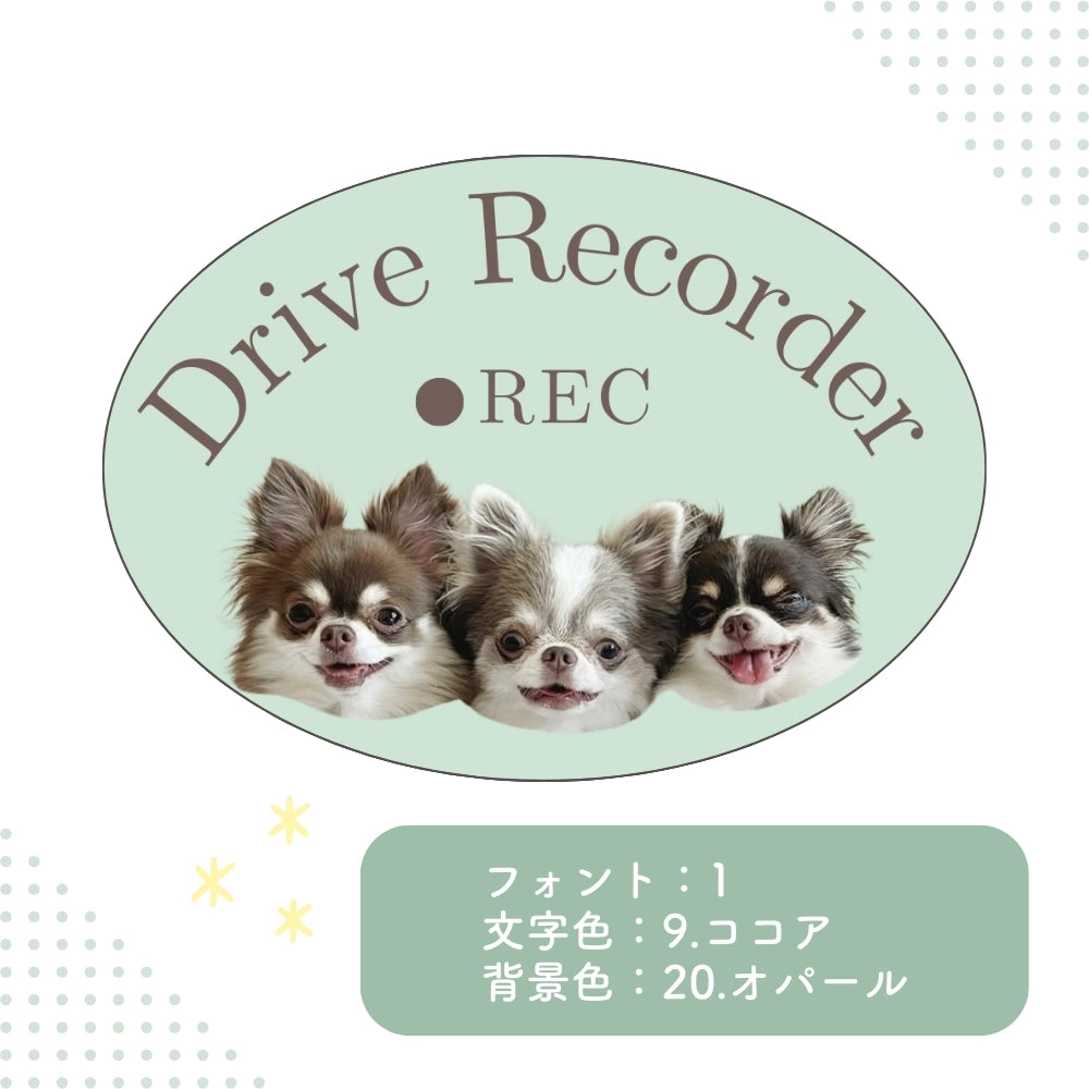 【即納】In Car ステッカー