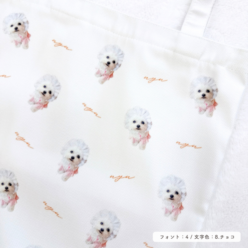 Original walking bag