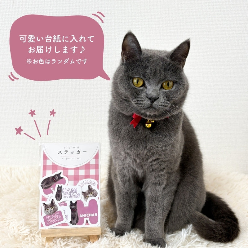 [In Stock] Name Stickers with Text