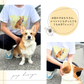 ポップデザイン Tシャツ