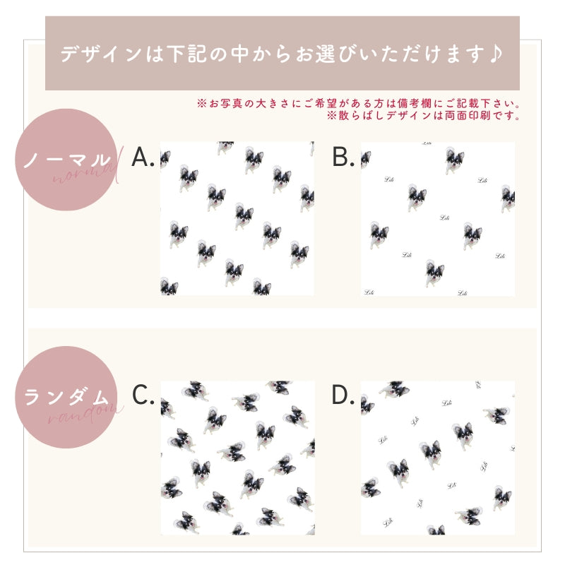 ポーチ