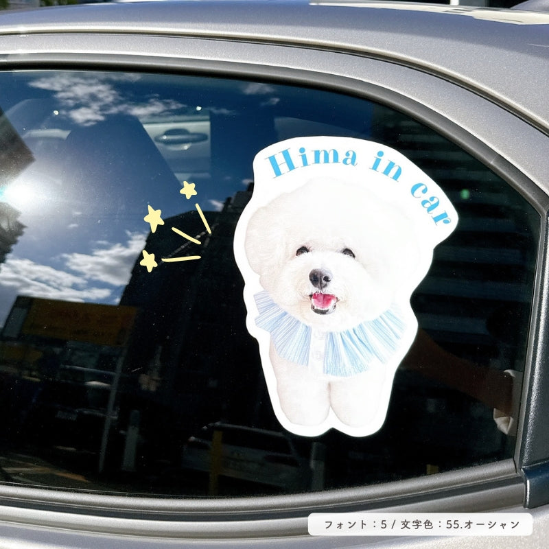 [In Stock] A4 Size Waterproof Sticker