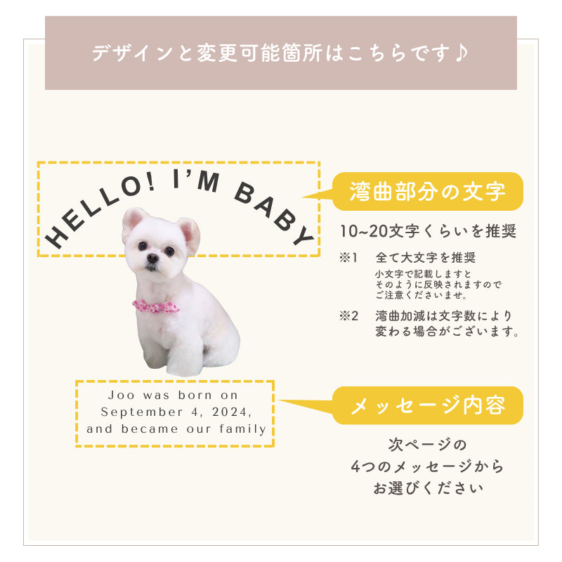 カーブデザイン ポーチ