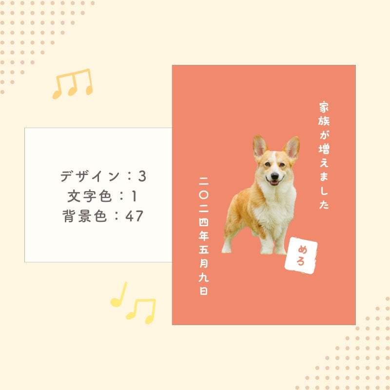 [In Stock] A4 Photo Plate