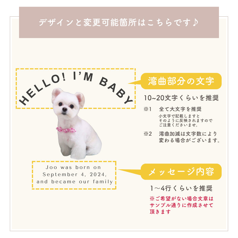 カーブデザイン サーモタンブラー 300ml/500ml
