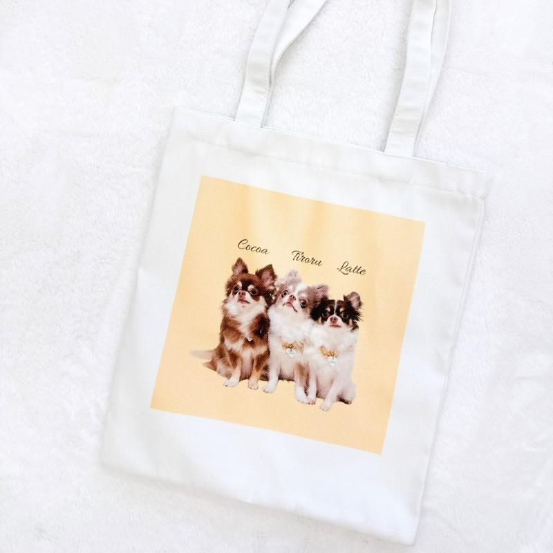 Original walking bag