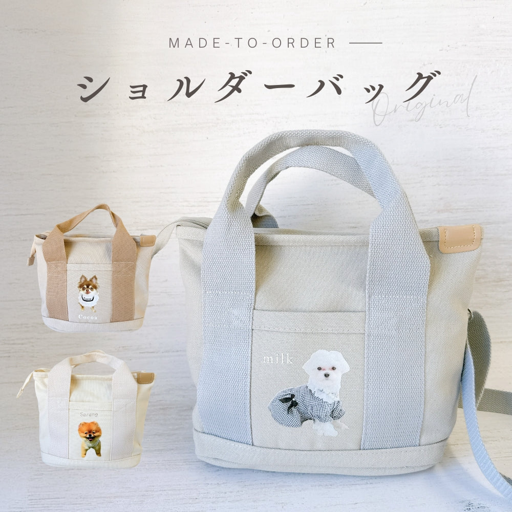 Caricature bag
