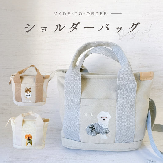 Caricature bag