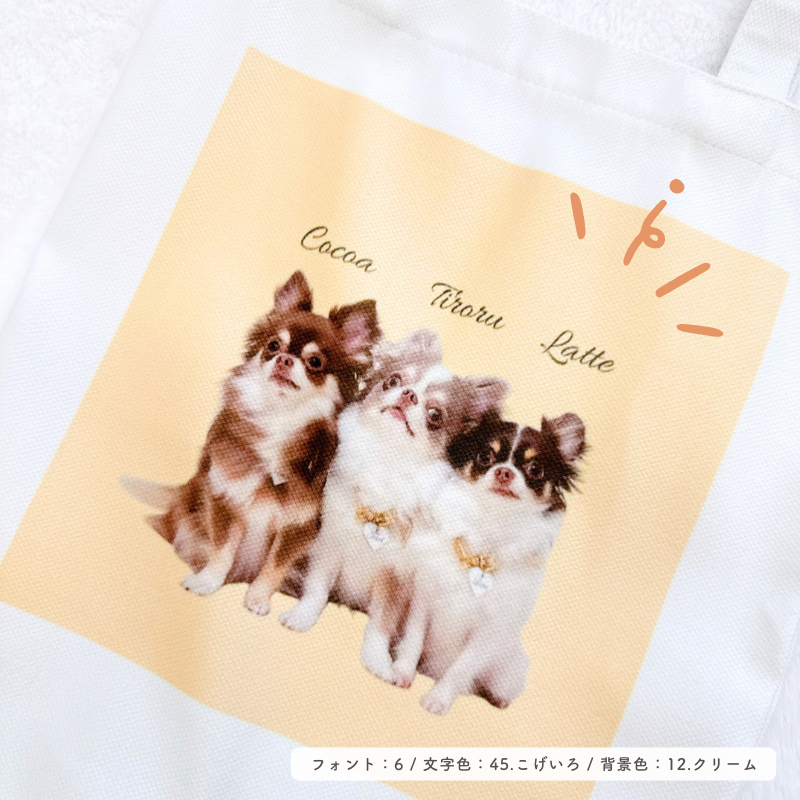 Original walking bag