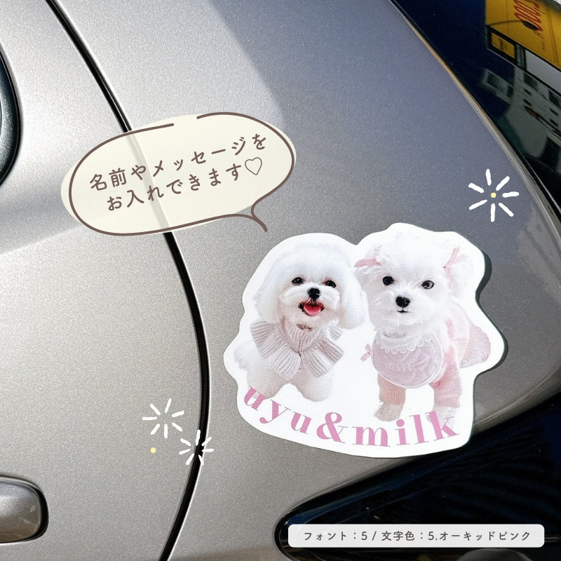 [In Stock] A4 Size Waterproof Sticker