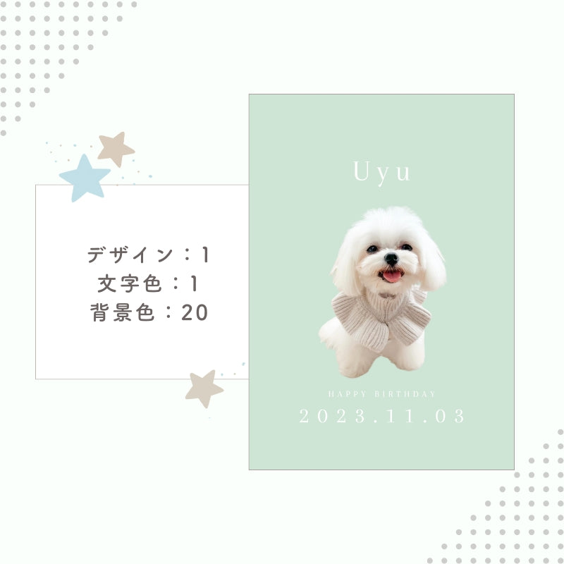 [In Stock] A4 Photo Plate