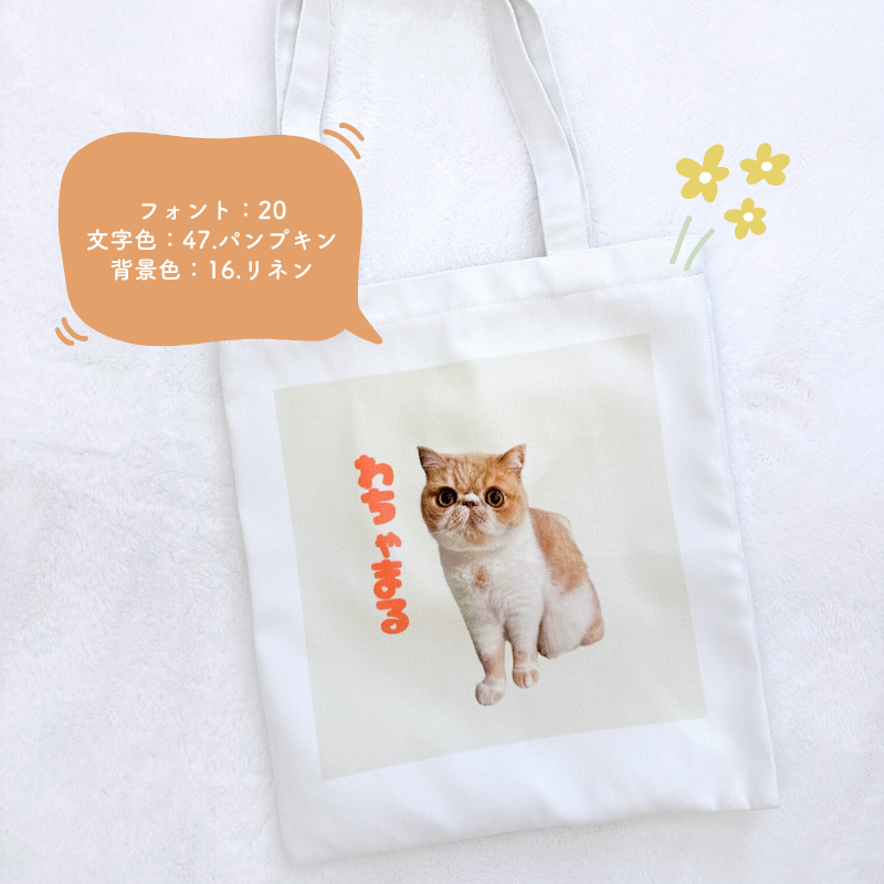 Original walking bag