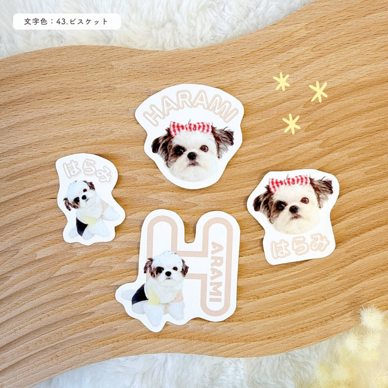 [In Stock] Name Stickers with Text