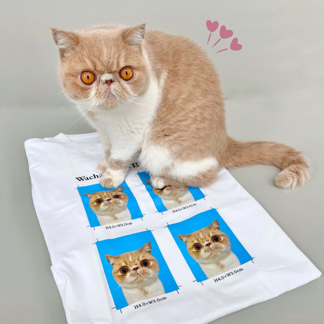 証明写真風Tシャツ