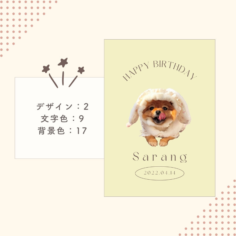 [In Stock] A4 Photo Plate