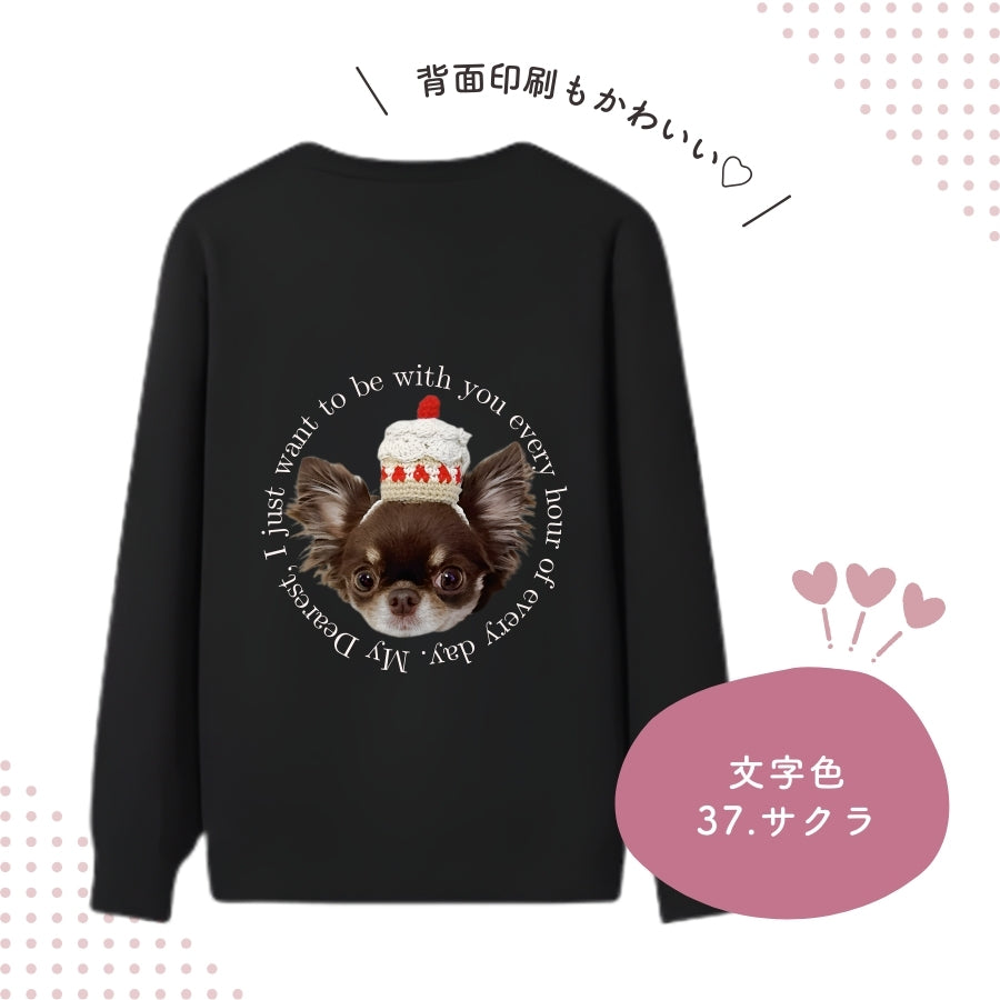 レタリング トレーナー